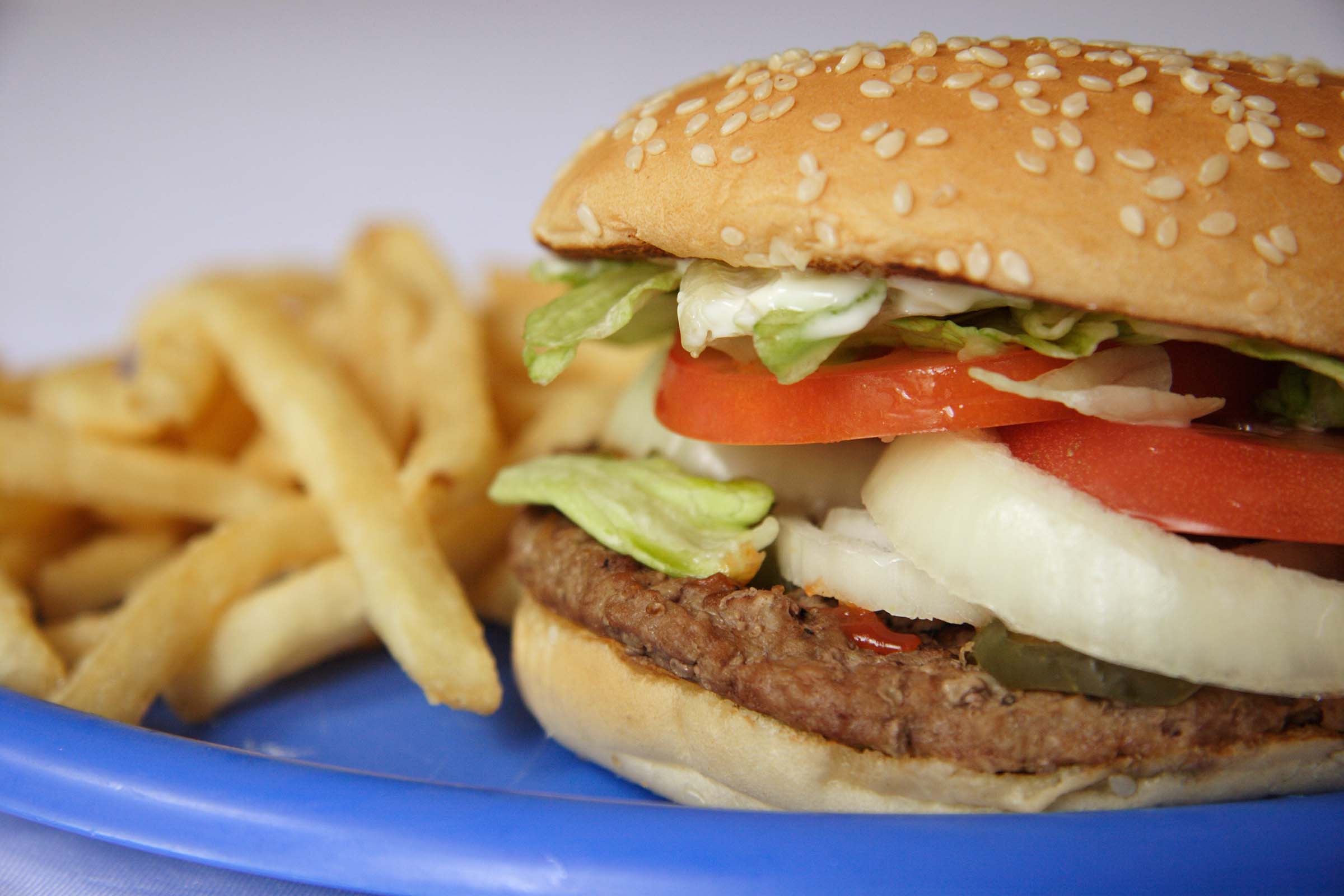 Hamburger pic